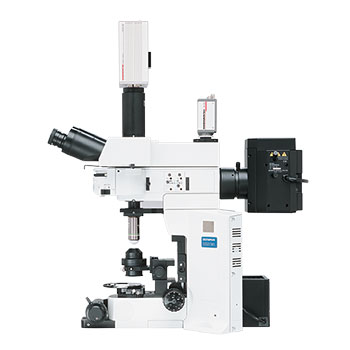 Olympus BX51 WI Microscope