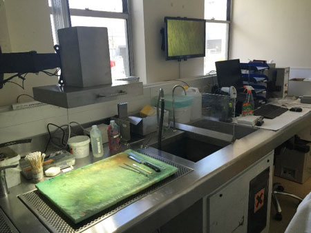 Digital Grossing Pathology