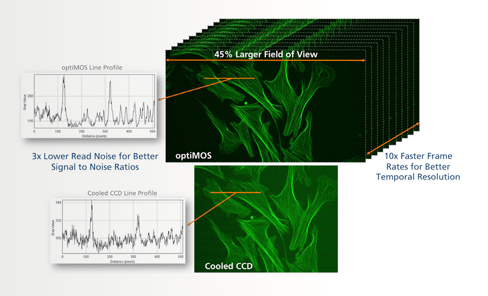 Optimos illustration