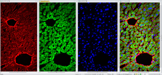 One-click Colour Composite