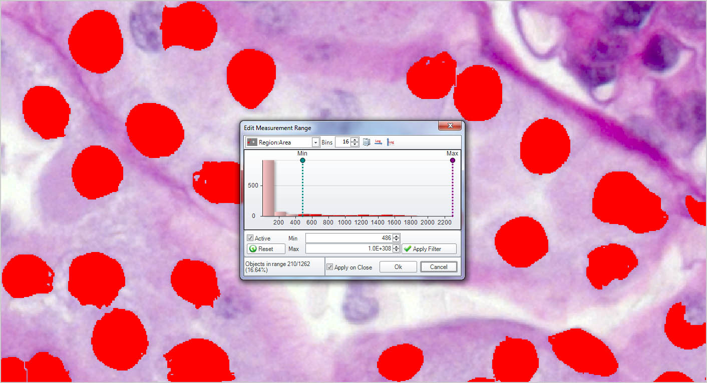 Filter by Measurement