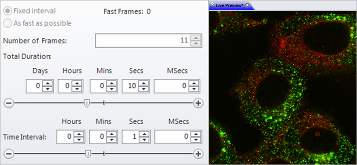 Fixed interval vs Fast as possible