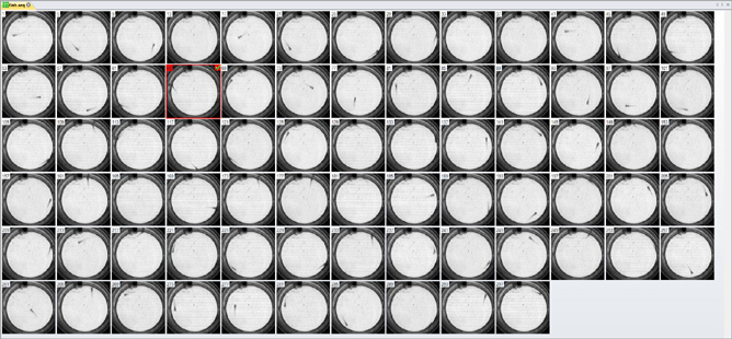 View and Edit in gallery view