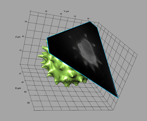Oblique clipping planes