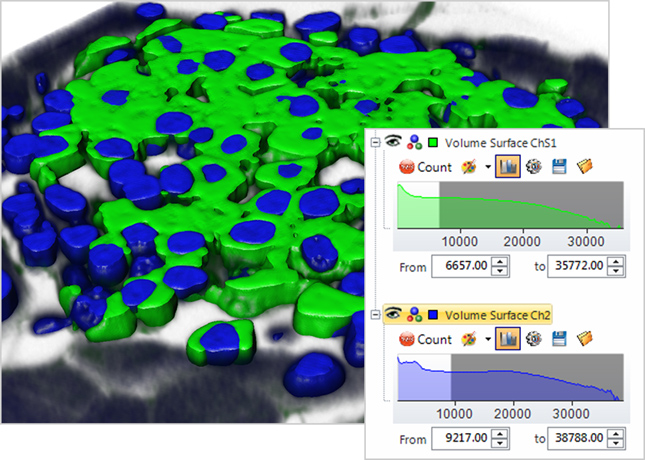 Identify what to measure