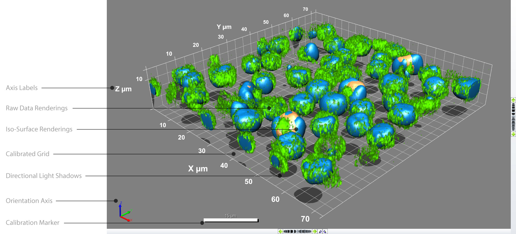 Enjoy your stunning results